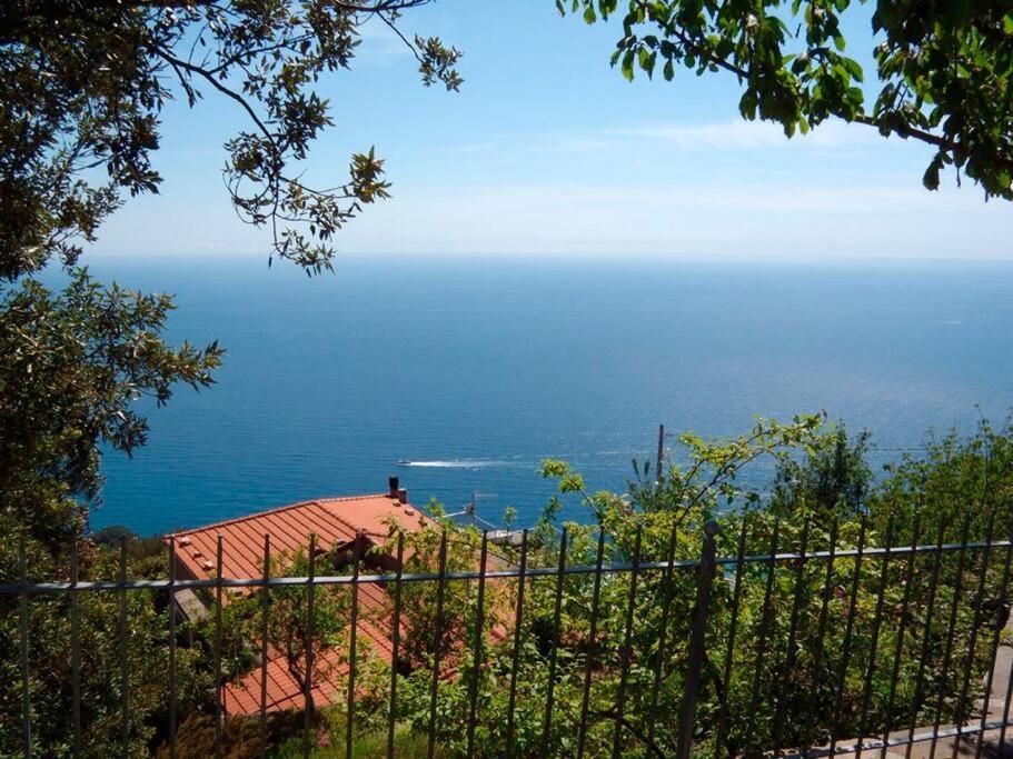 Nature&Sea Chalet กอร์นิญา ภายนอก รูปภาพ
